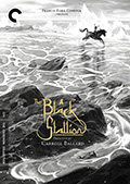 The Black Stallion Criterion Collection DVD