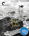 The Black Stallion Criterion Collection Bluray