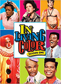 In Living Color: Season 1 DVD