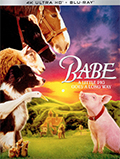 Babe UltraHD Bluray