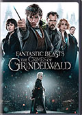 Special Edition DVD
