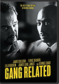 Gang Related DVD