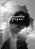 Criterion Collection DVD