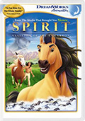 Fullscreen DVD