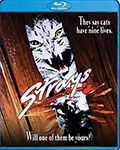 Strays