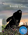 Criterion Collection Bluray
